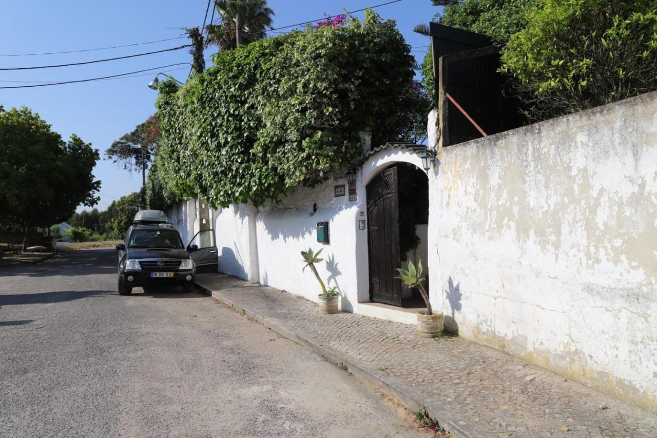 Villa Casa Das Palmeiras 沙尔内卡 外观 照片